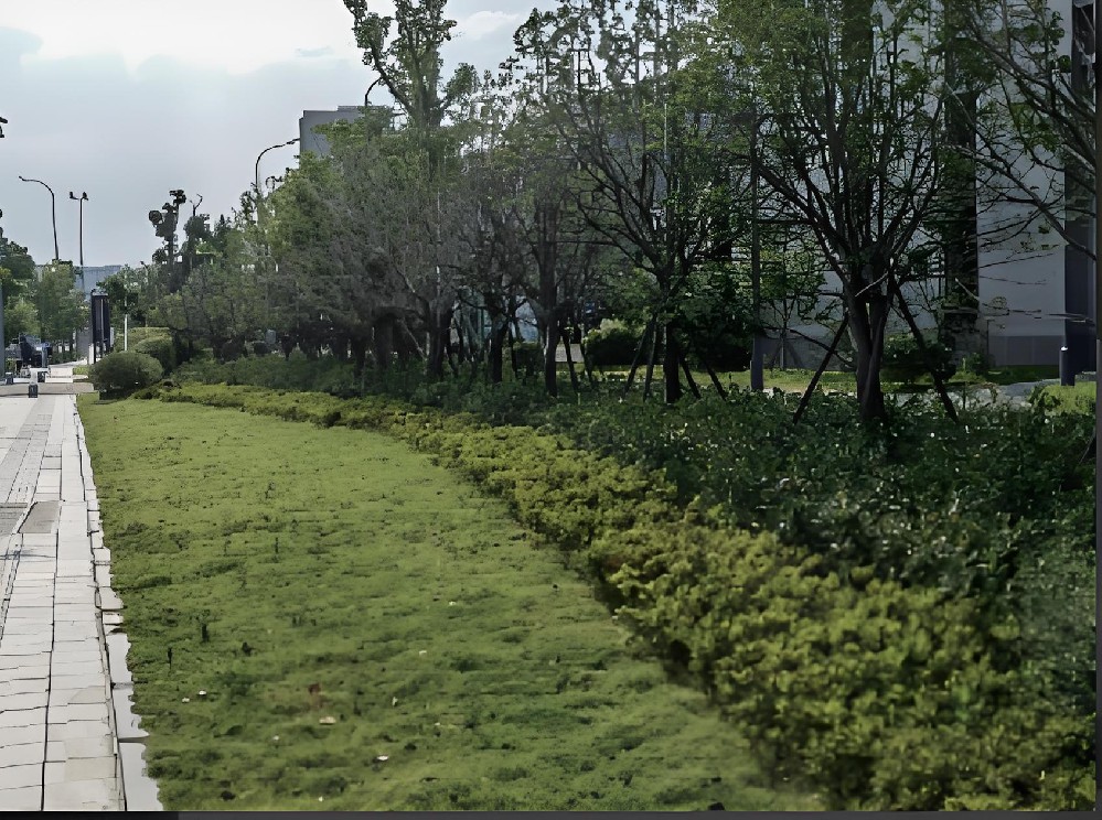 干化建筑渣土在鄞州区钟公庙第二中学绿化中的应用