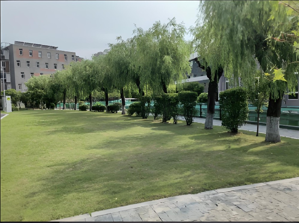 干化建筑渣土在江北区至诚外国语学院绿化中的应用